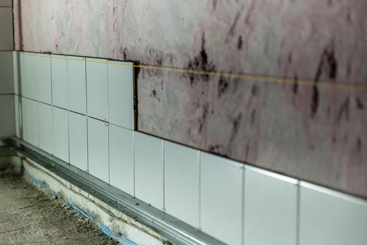 Dark mold spreading behind a bathroom wall, the hidden cost of water damage