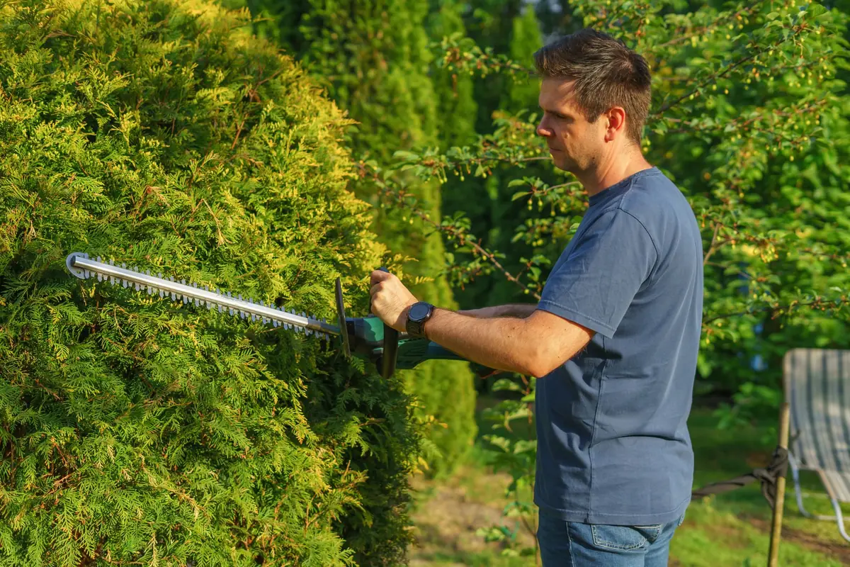 A homeowner trimming a tall privacy hedge along a fence, one way to screen a bad neighbor before selling
