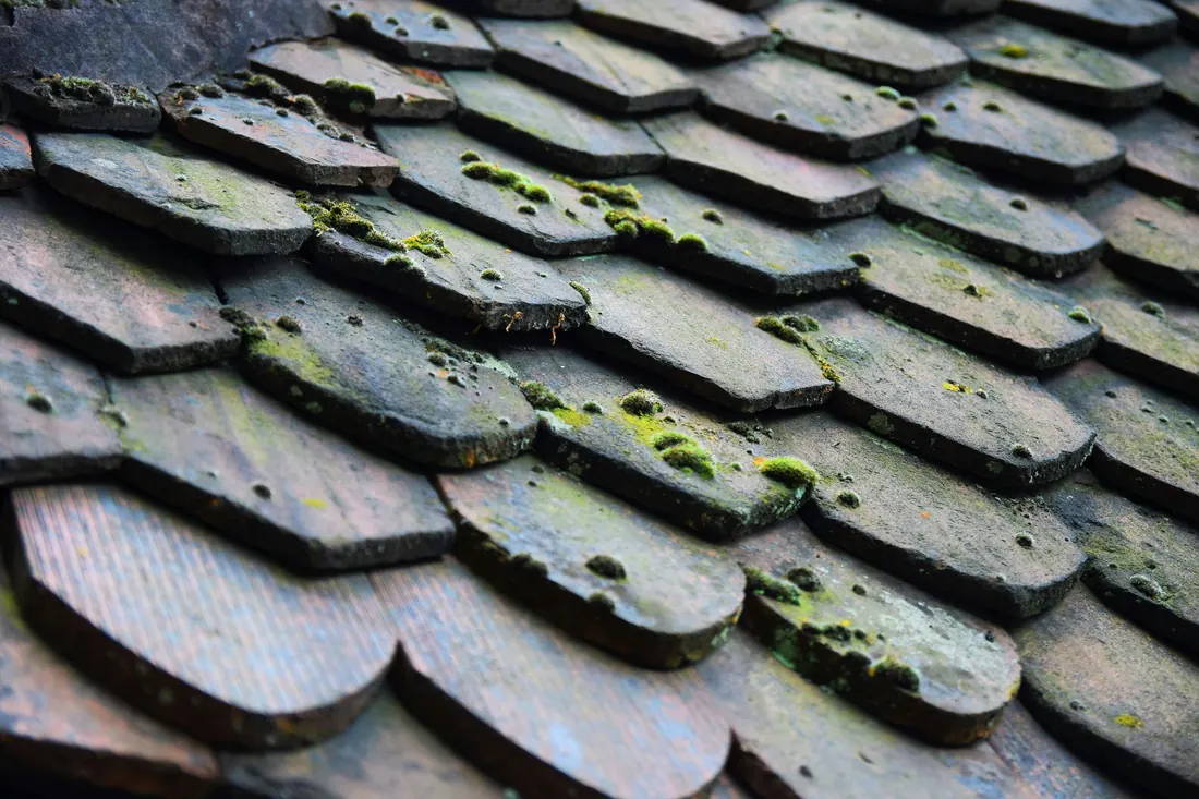A worn, weathered shingle roof on an Iowa house being sold with a bad roof