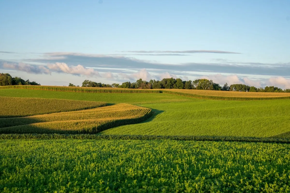 Rolling Iowa farmland, the glaciated soil that gives the state some of the highest radon levels in the US