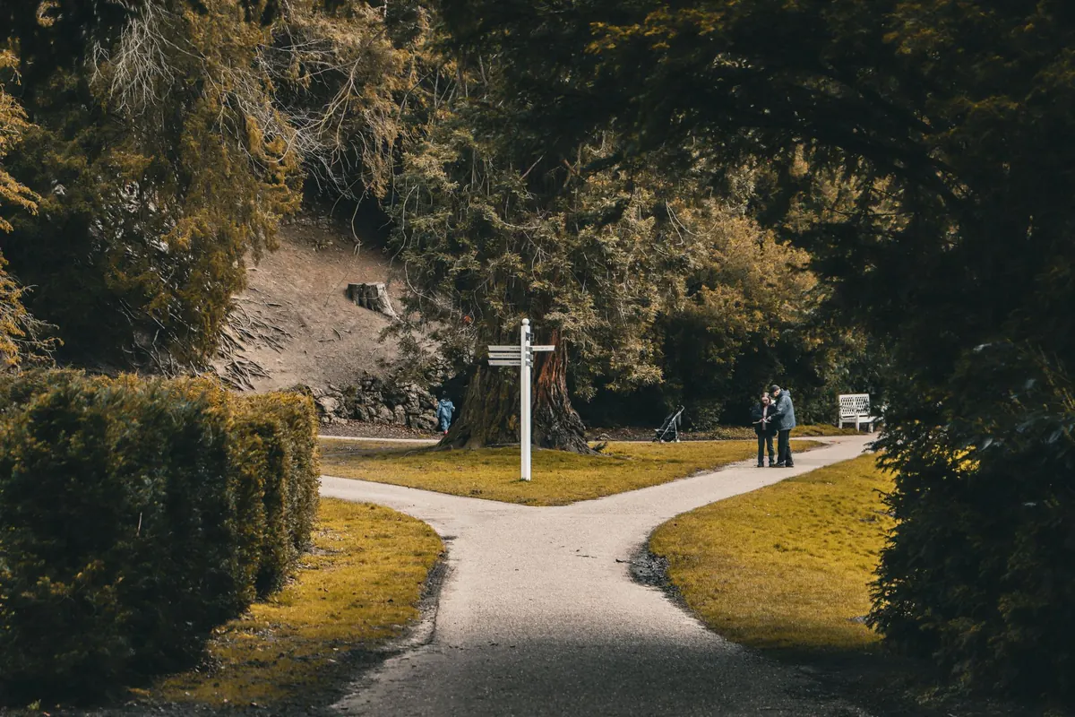 A path splitting in two directions, like the choice between short sale and foreclosure